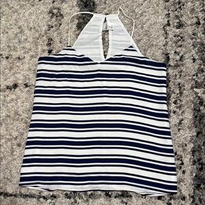 Express Navy and White Striped Top